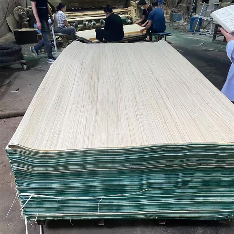 4*8 jalga valge rekonipoon EV konstrueeritud spooni