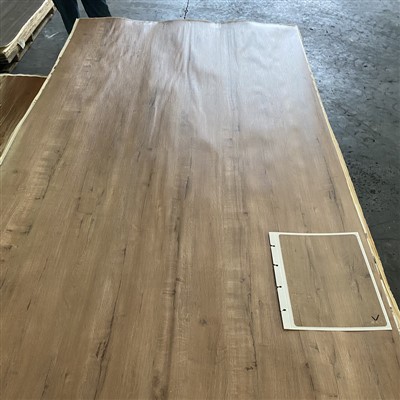 Elegantne tamme sünkroniseeritud spooniga 4*8 seinapaneel